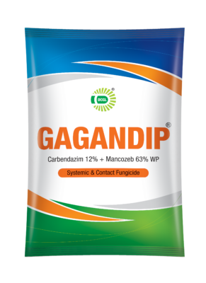 GAGANDIP