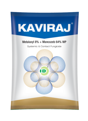 KAVIRAJ