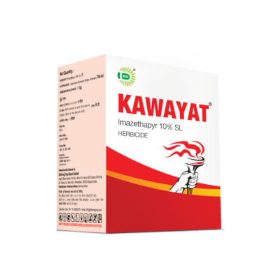 KAWAYAT