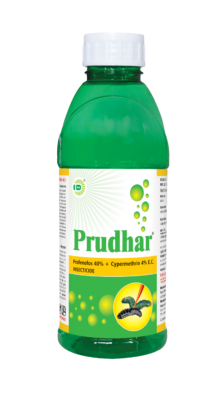 PRUDHAR