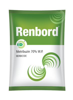 RENBORD