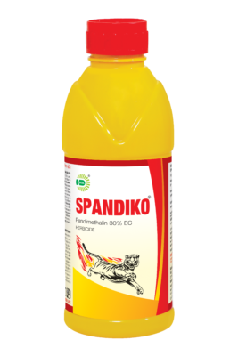 SPANDIKO