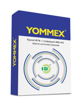 YOMMEX