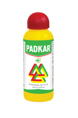 PADKAR