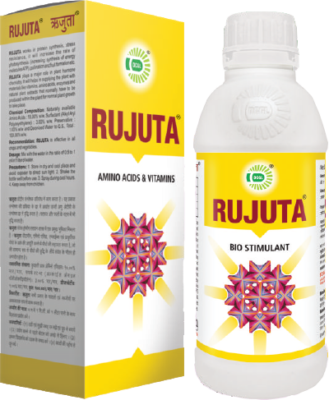 RUJUTA