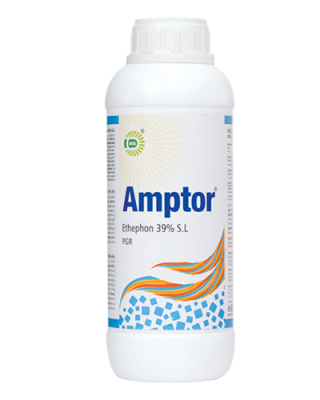 AMPTOR