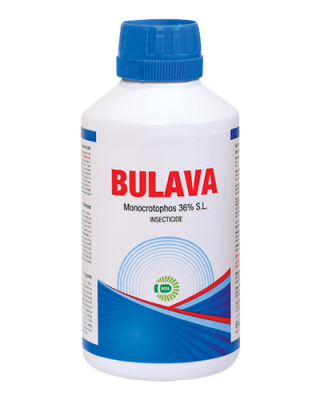 BULAVA