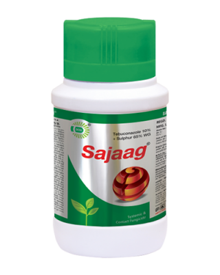 SAJAAG