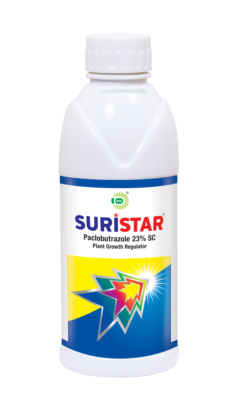 SURISTAR