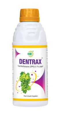 DENTRAX